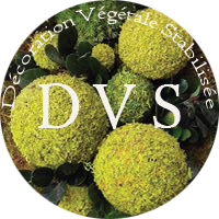DVS Green Gallery