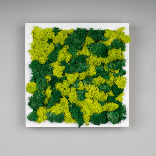tableau carré lichen vert