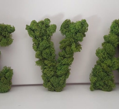lettre lichen vert citron
