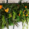 Mur Tropical